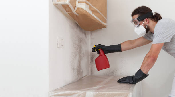Professional Mold Removal technician working in Marshall, MI