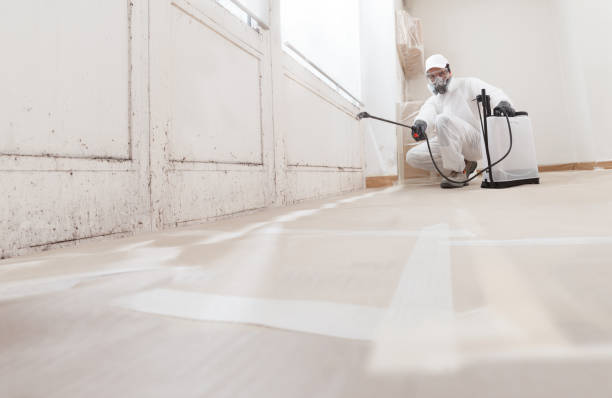 24/7 Emergency Mold Removal experts in Marshall, MI